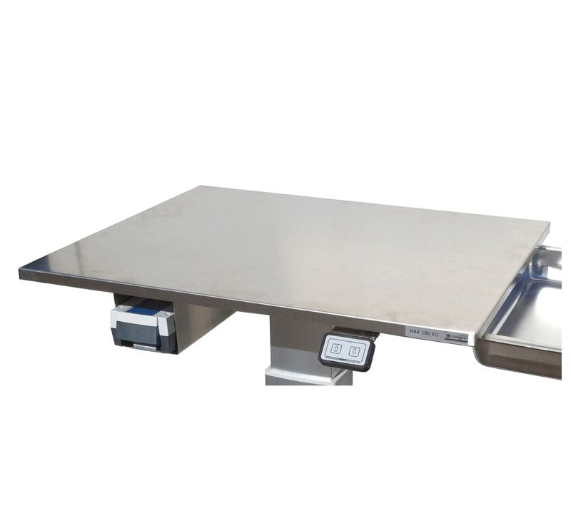 Rustfritopplade til model Limbo